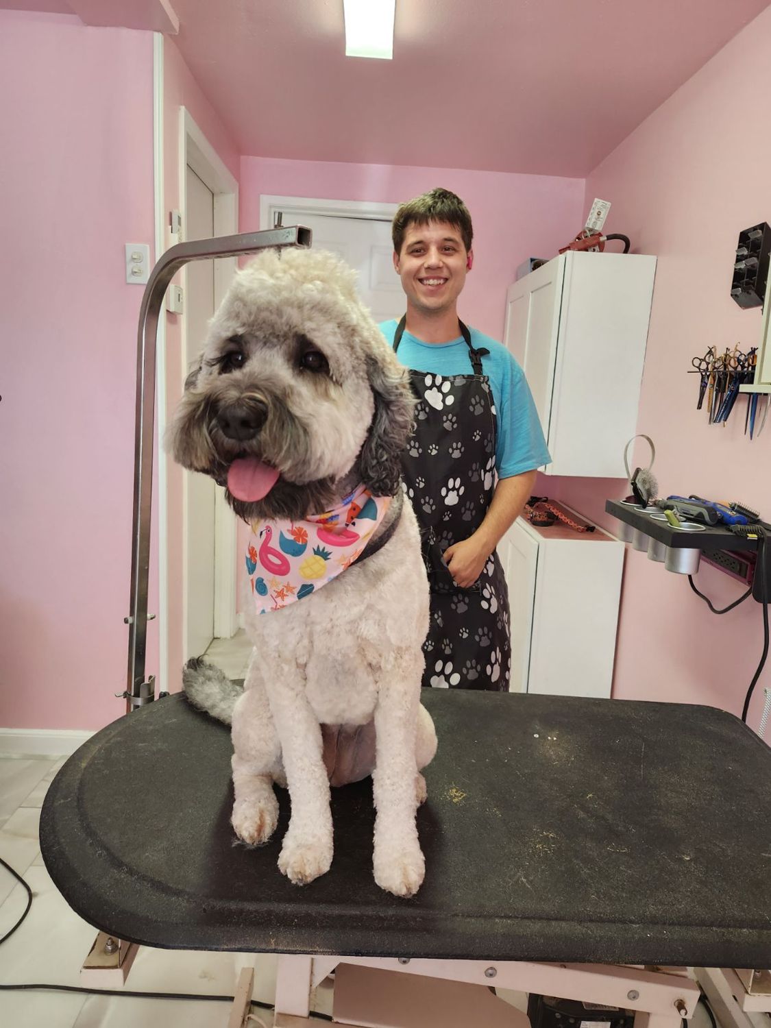 Jason with a freshly groomed doodle